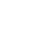 综合动态