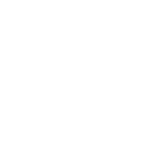 律管公告